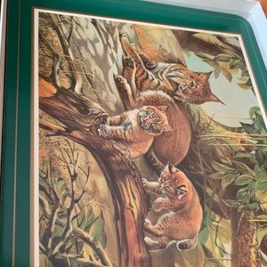 NWOT - Pimpernel Wildlife Placemats (4) amazing